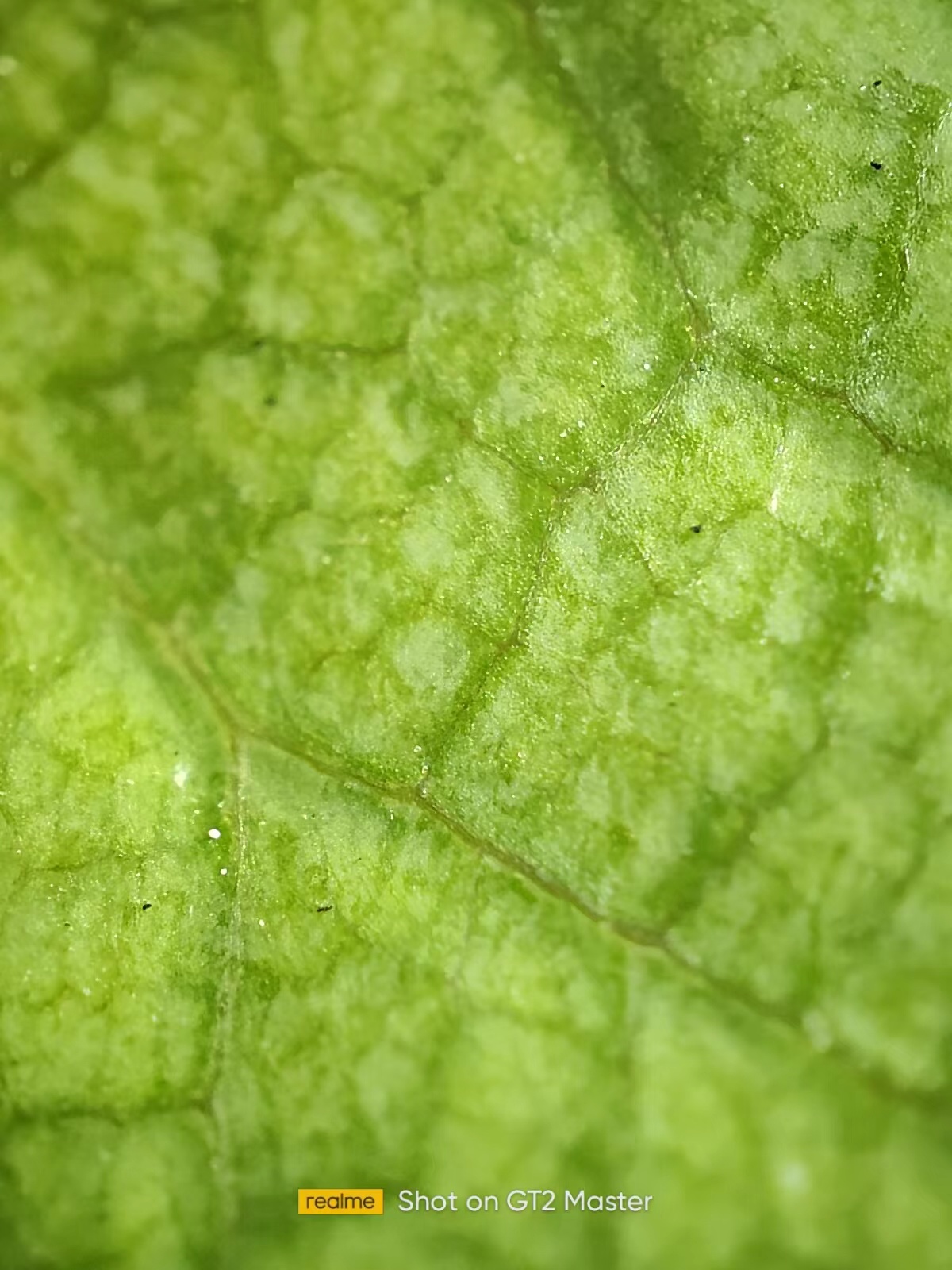 真我gt2pro和大师探索版小白测评,真我gt2大师探索版对比iqoo8