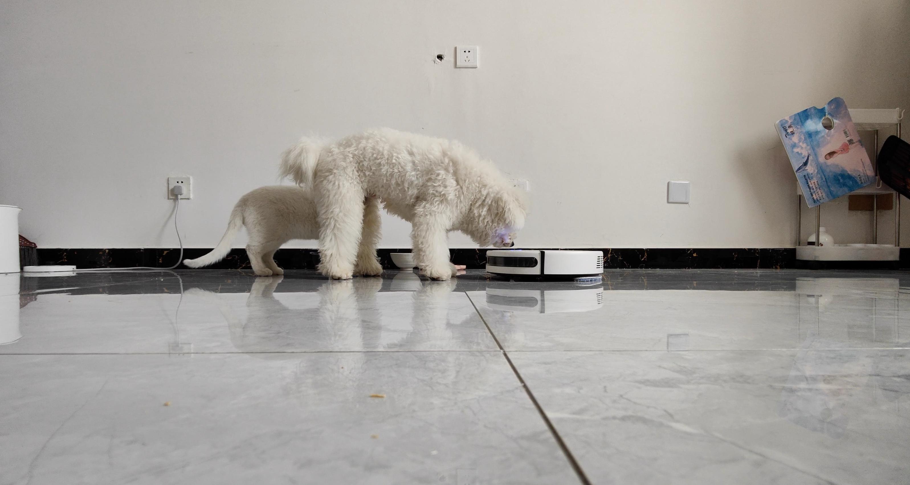 2019浦瑞克扫地机器人,浦瑞克扫地机器人怎么用教程