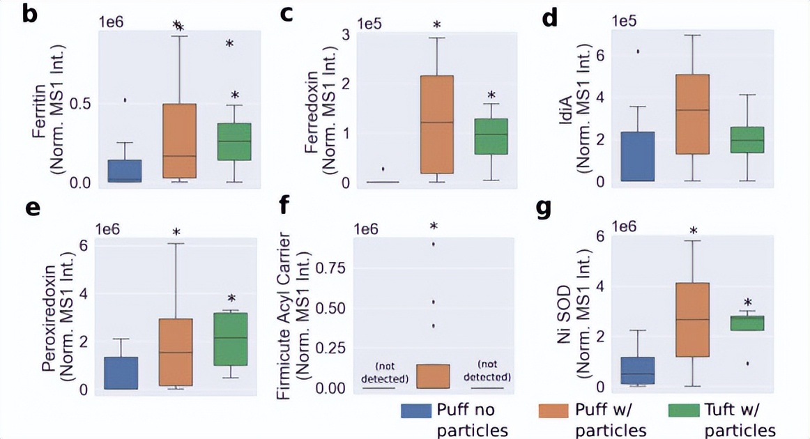 毛滴虫的营养源,毛滴虫营养源是什么