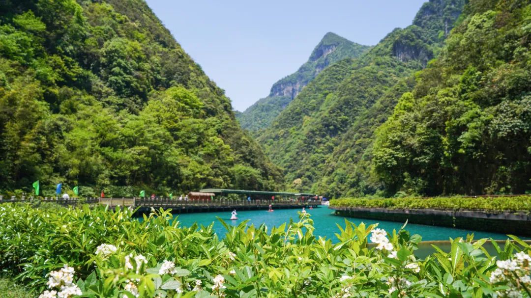 金佛山景区内温泉,金佛山温泉度假村泡温泉