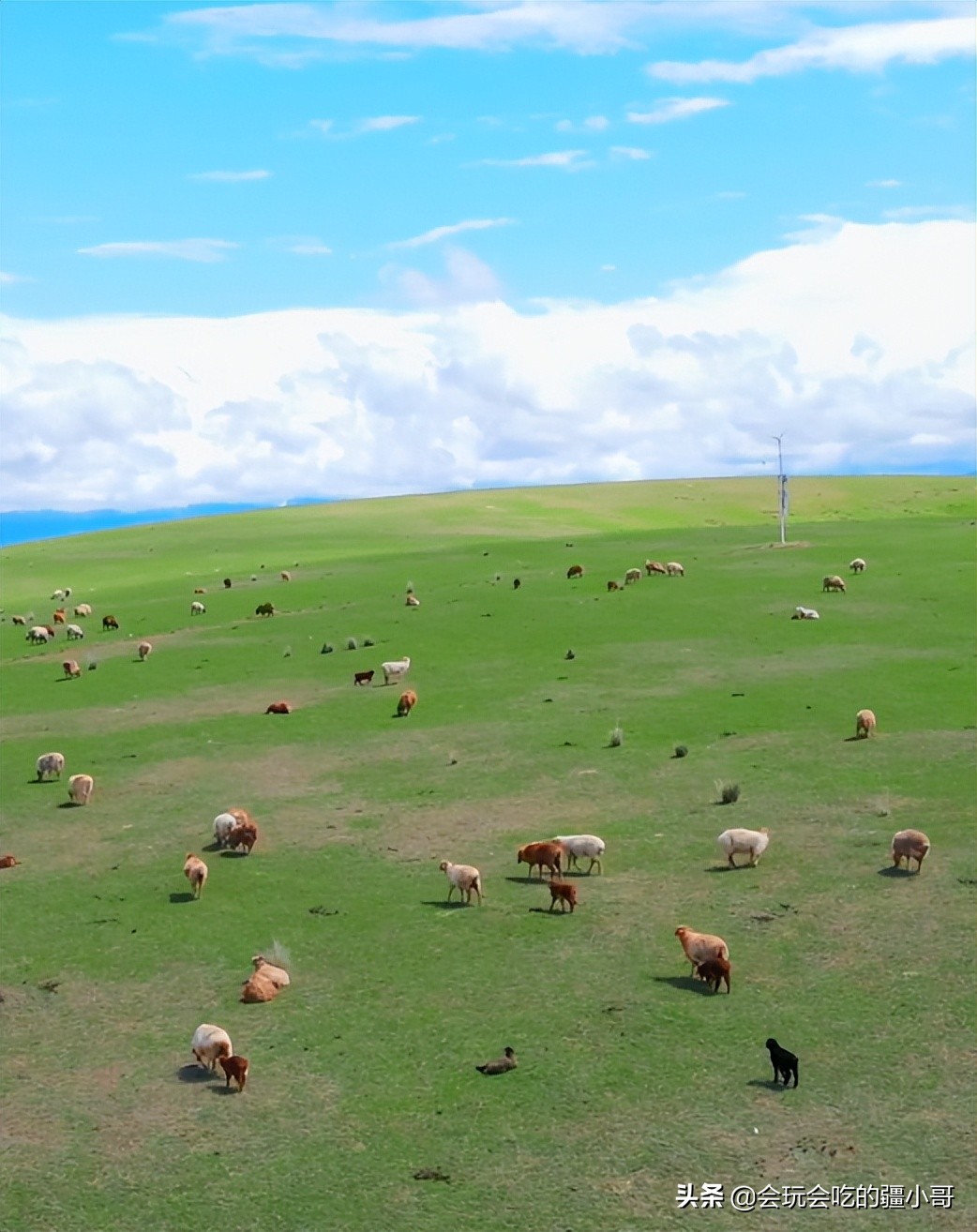 旅行十大危险目的地,旅行需要注意的避坑事项