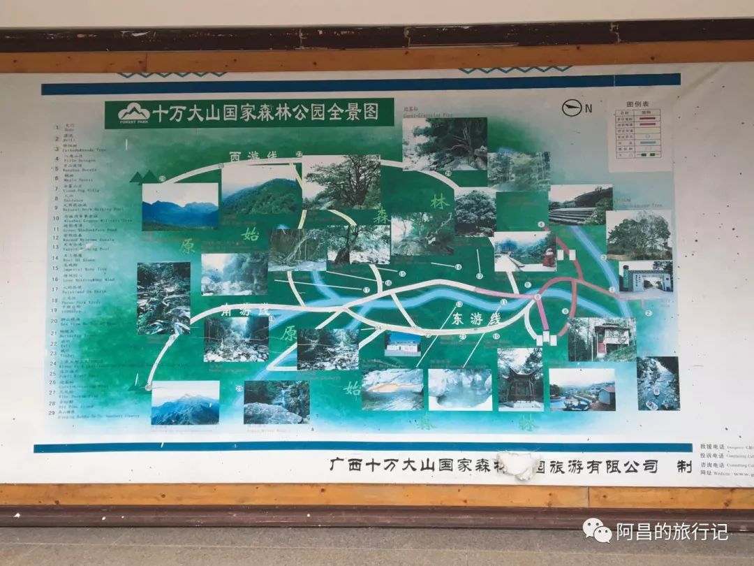 广西十万大山国家森林公园,广西十万大山国家森林公园图片