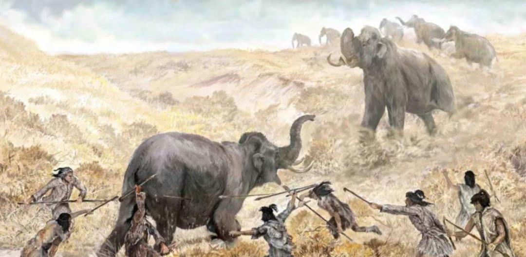 人类全身褪去毛发后，为何只留下了头发、阴毛和腋毛？忘记褪了？