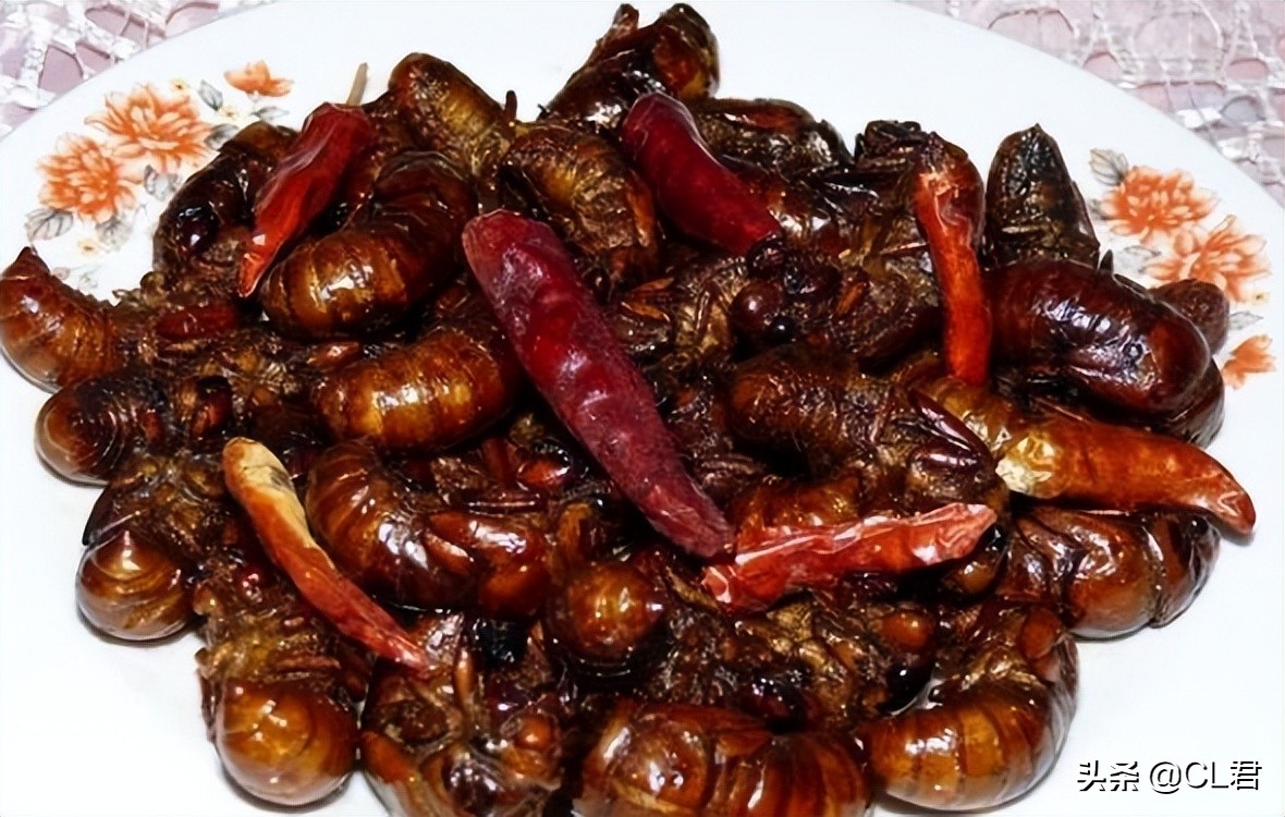 冬天知了猴多少钱一斤,知了猴多少元1斤