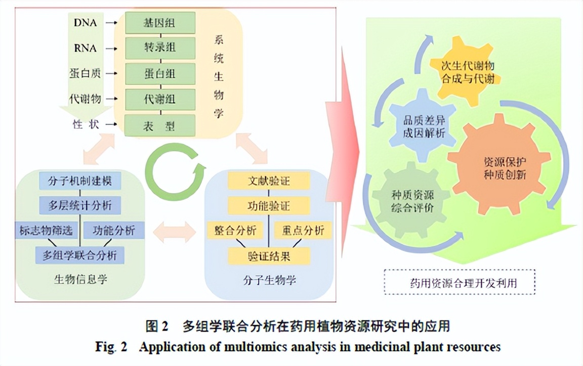 组学技术包括,组学技术具有哪些技术优势