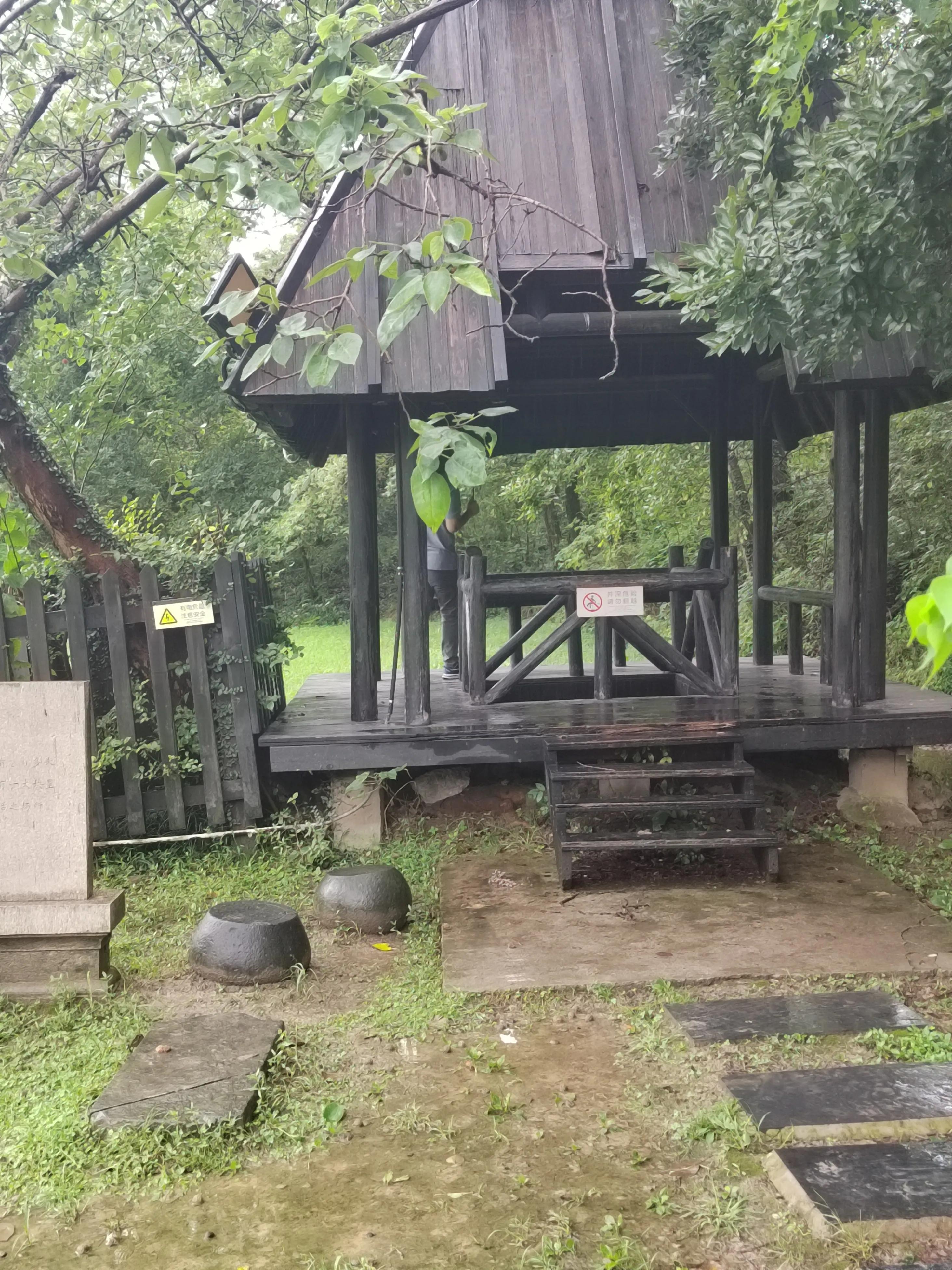 淹城是哪个省市,淹城动物园旅游攻略