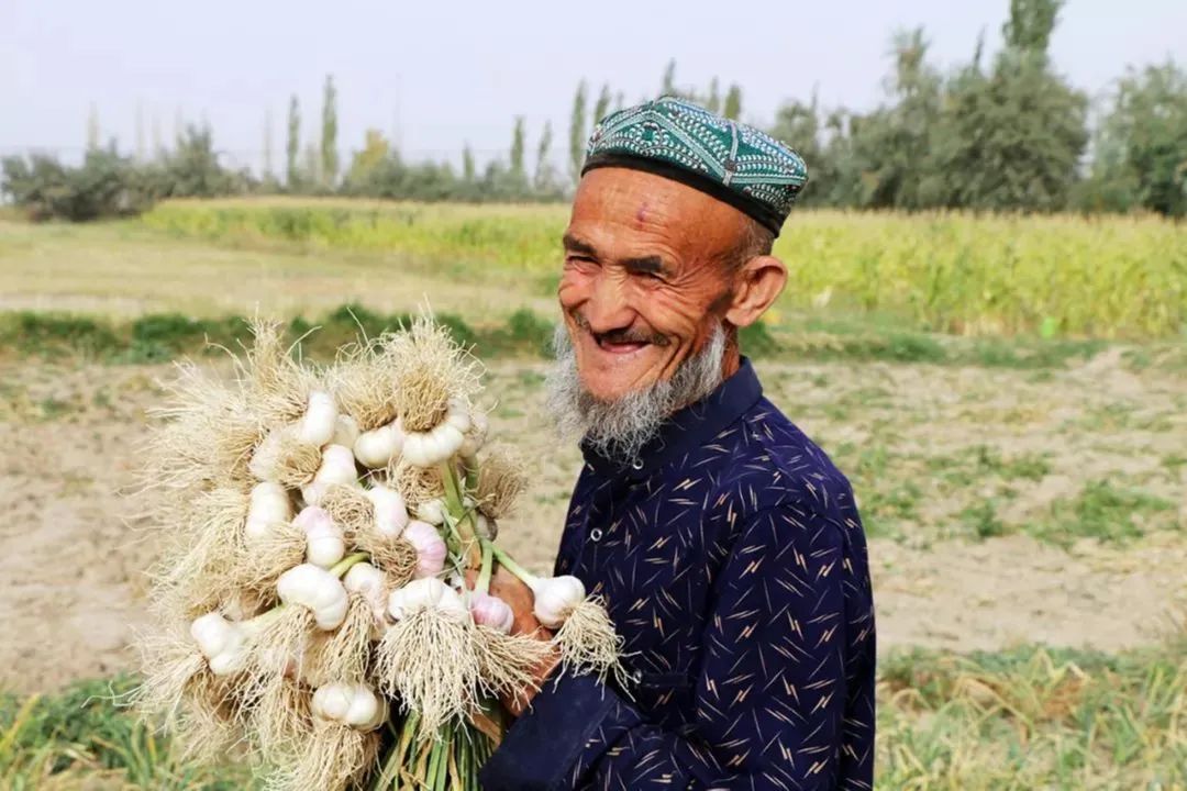 找回老种子,找回遗珠