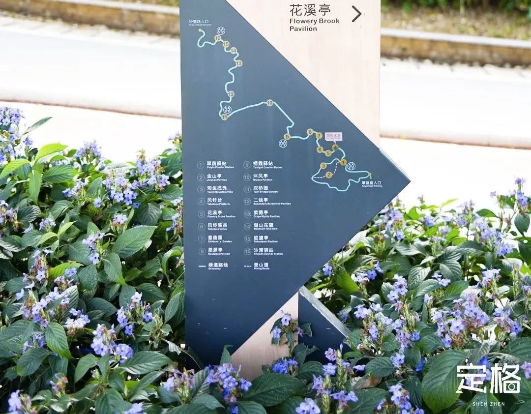 深圳十条景美徒步路线推荐,深圳水库徒步路线图