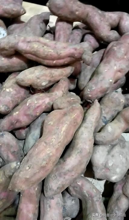 我在安哥拉,我在安哥拉的一天