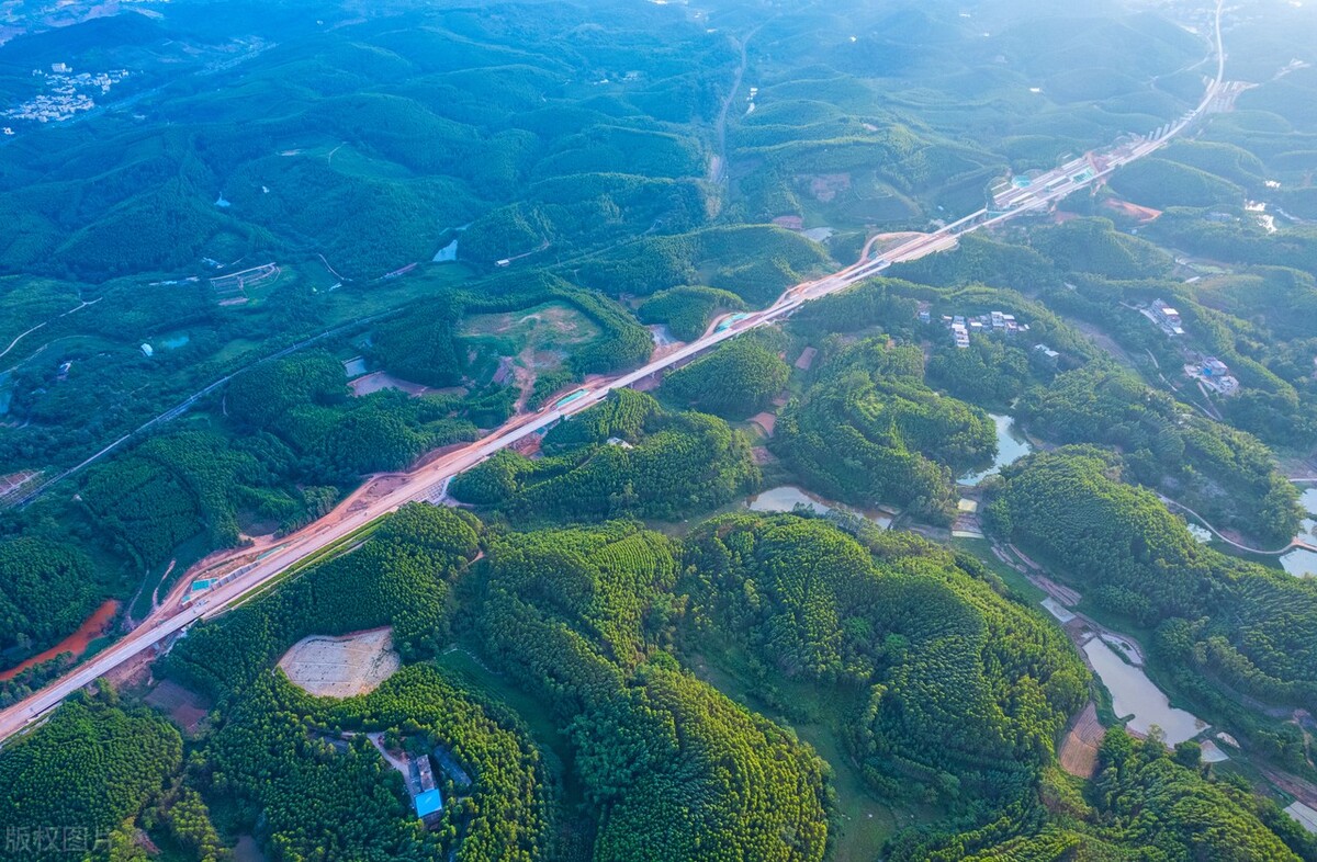 广西万亿林业产业三年行动方案,广西林业产业最新发展现状