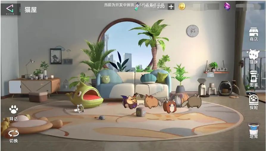 今年出的二次元游戏,建议新手入坑的二次元游戏