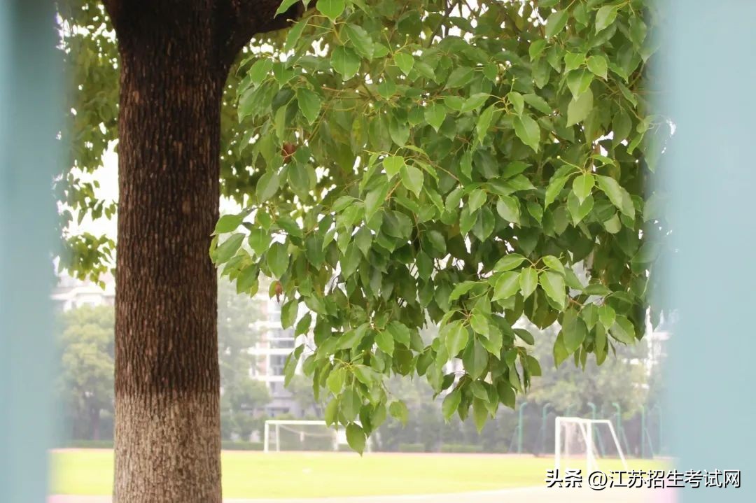 苏州农业职业技术学院全览,苏州农业职业技术学院综合信息网