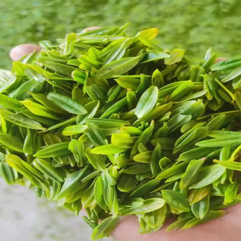 中国六大茶中最贵的茶,中国十大最贵的茶排名