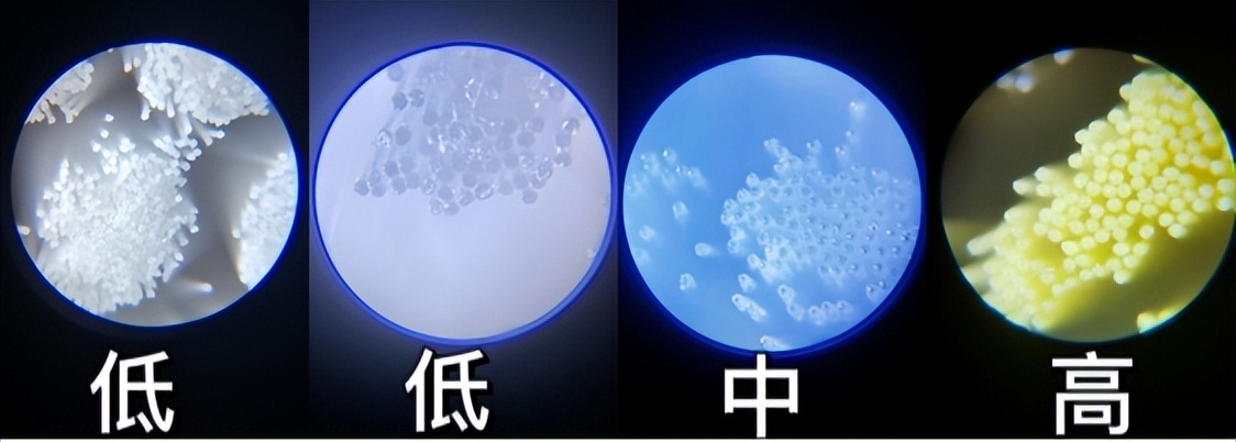 儿童电动牙刷有年龄限制吗,电动牙刷用法不正确有什么副作用