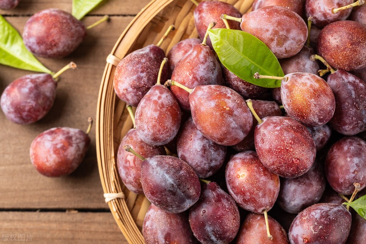 西梅糖分高吗减脂期能吃吗,西梅的糖度是多少减肥能吃吗