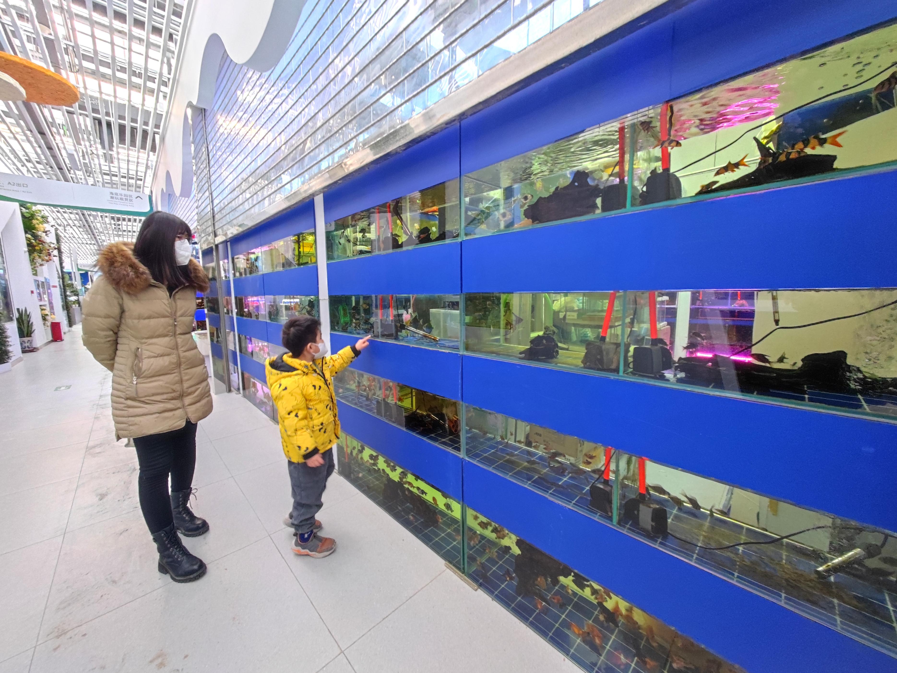 北京花卉市场买花便宜,北京买花最便宜的花卉市场