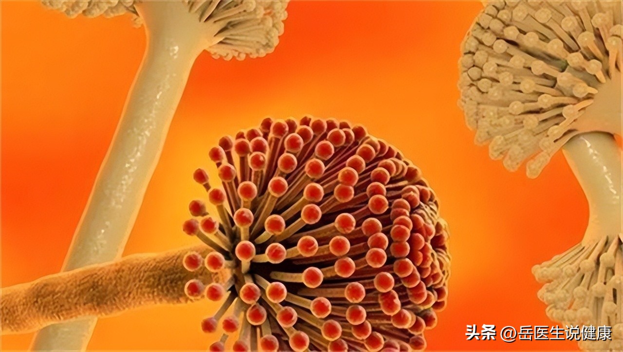 42岁男子查出晚期胃癌,29岁女子确诊胃癌冰箱久置食物