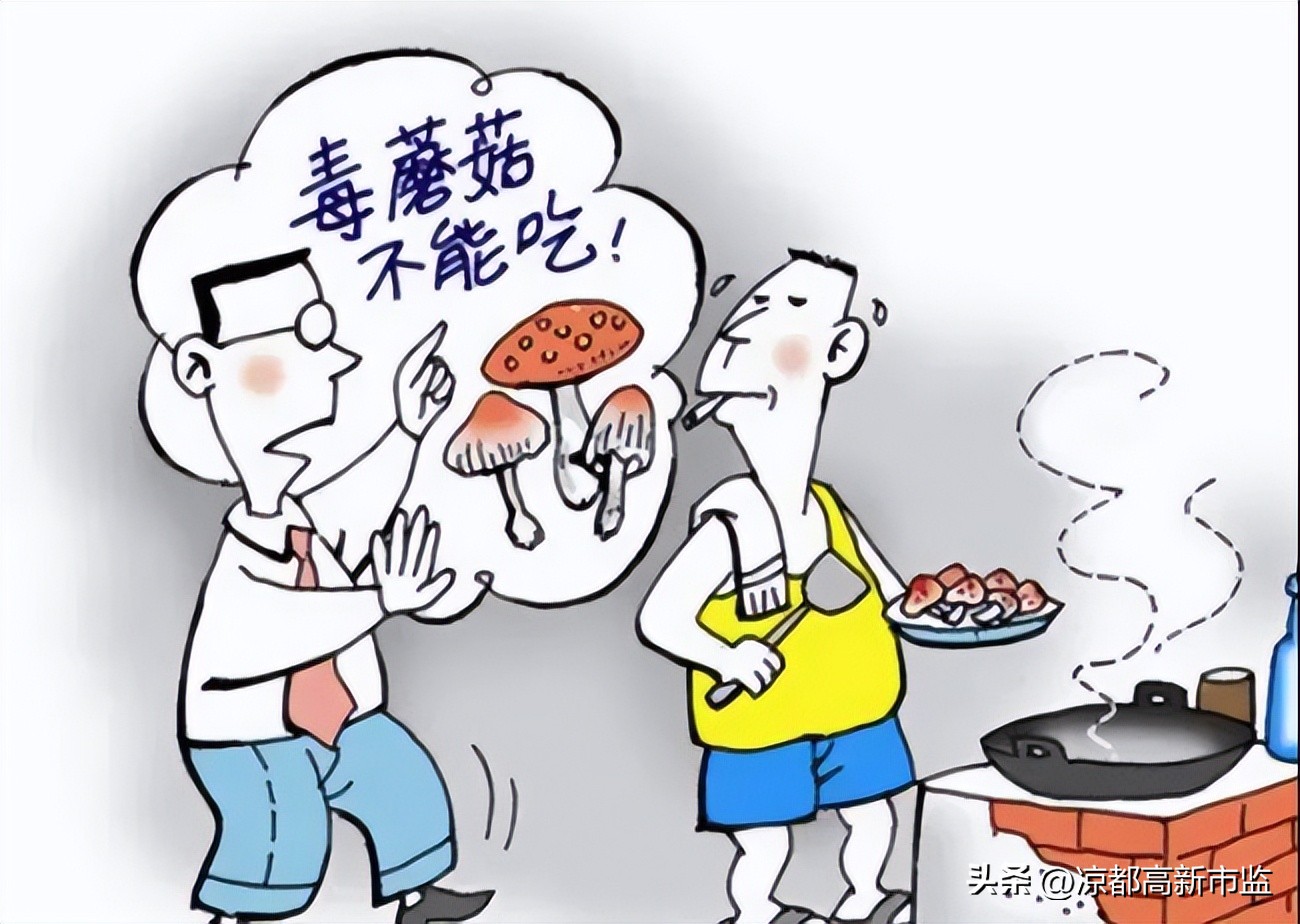 禁止食用有毒野生菌的小口诀,警惕毒蘑菇慎食野生菌