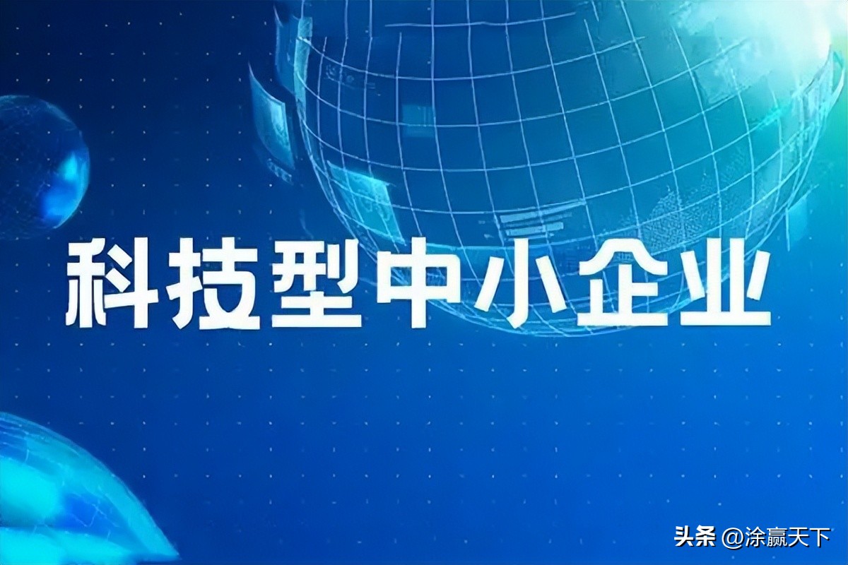 米奇、鸿昌涂料、砂鸵、阿里大师等获评2023年入库科技型中小企业