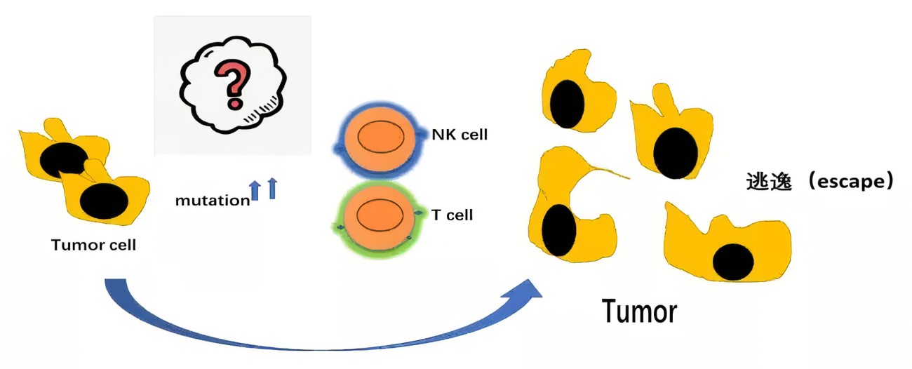 肿瘤怎么治疗最好偏方大全,肿瘤怎么治吃什么药最好