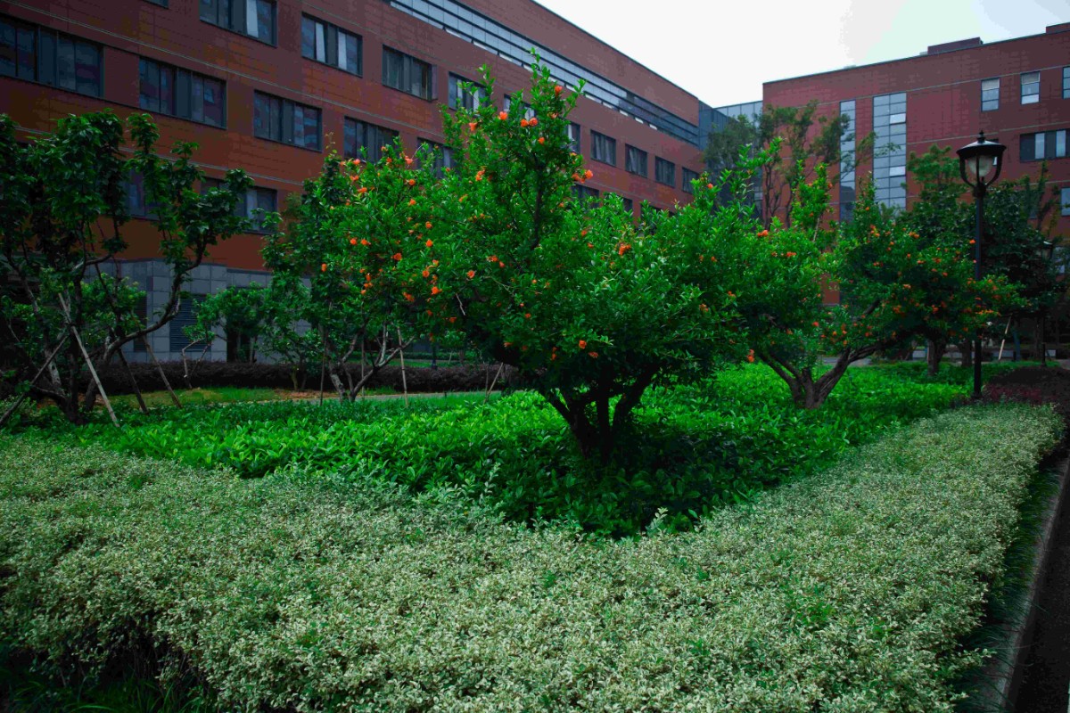 南昌大学第一附属医院象湖分院发展,南昌象湖第一附属医院周边规划