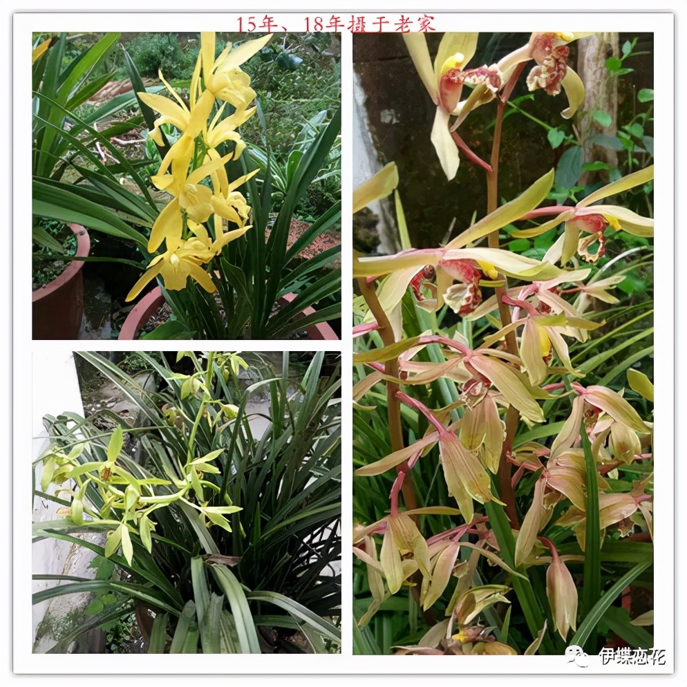 杩囧勾鍘诲摢璧忓叞,鍛ㄦ湯璧忓叞