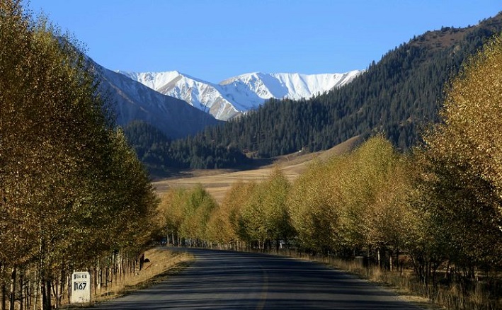 青海必游十大景点排名,青海必去十大景点排名