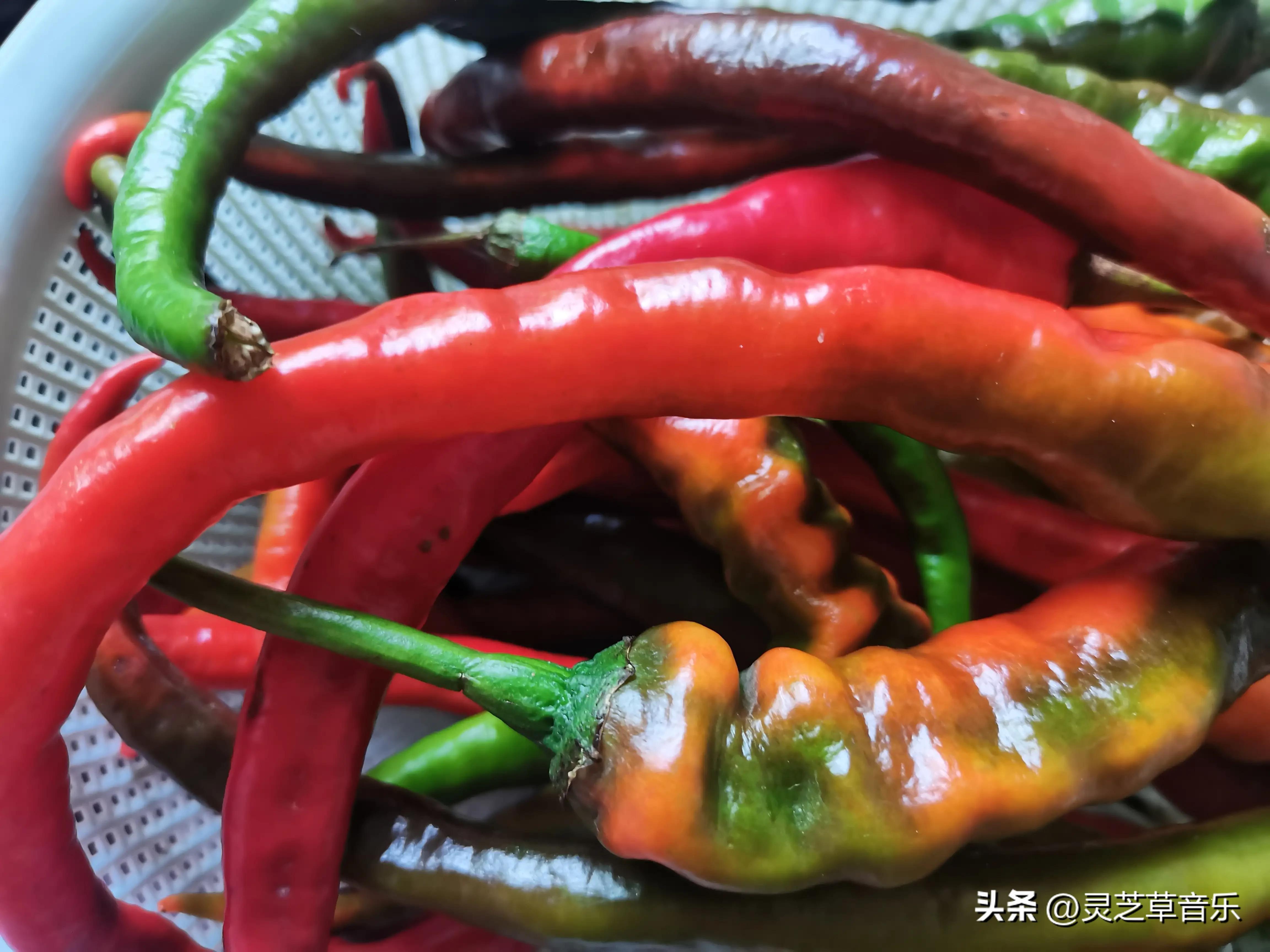 小米辣椒的腌制方法放一年都不坏,新鲜辣椒怎样放冰箱不会烂