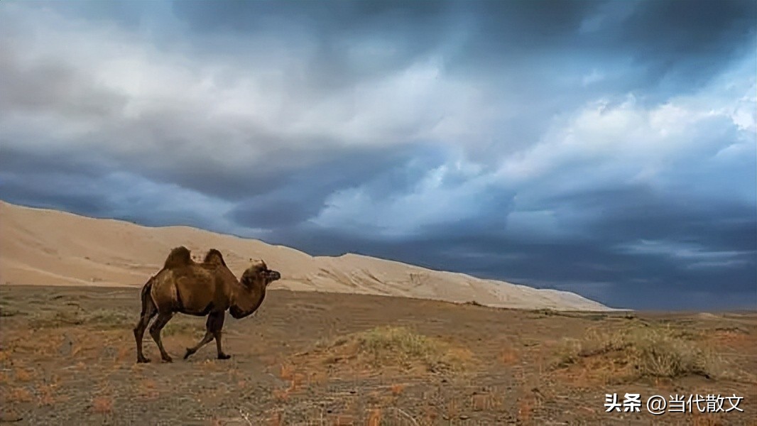 当代散文|独行侠（小说）