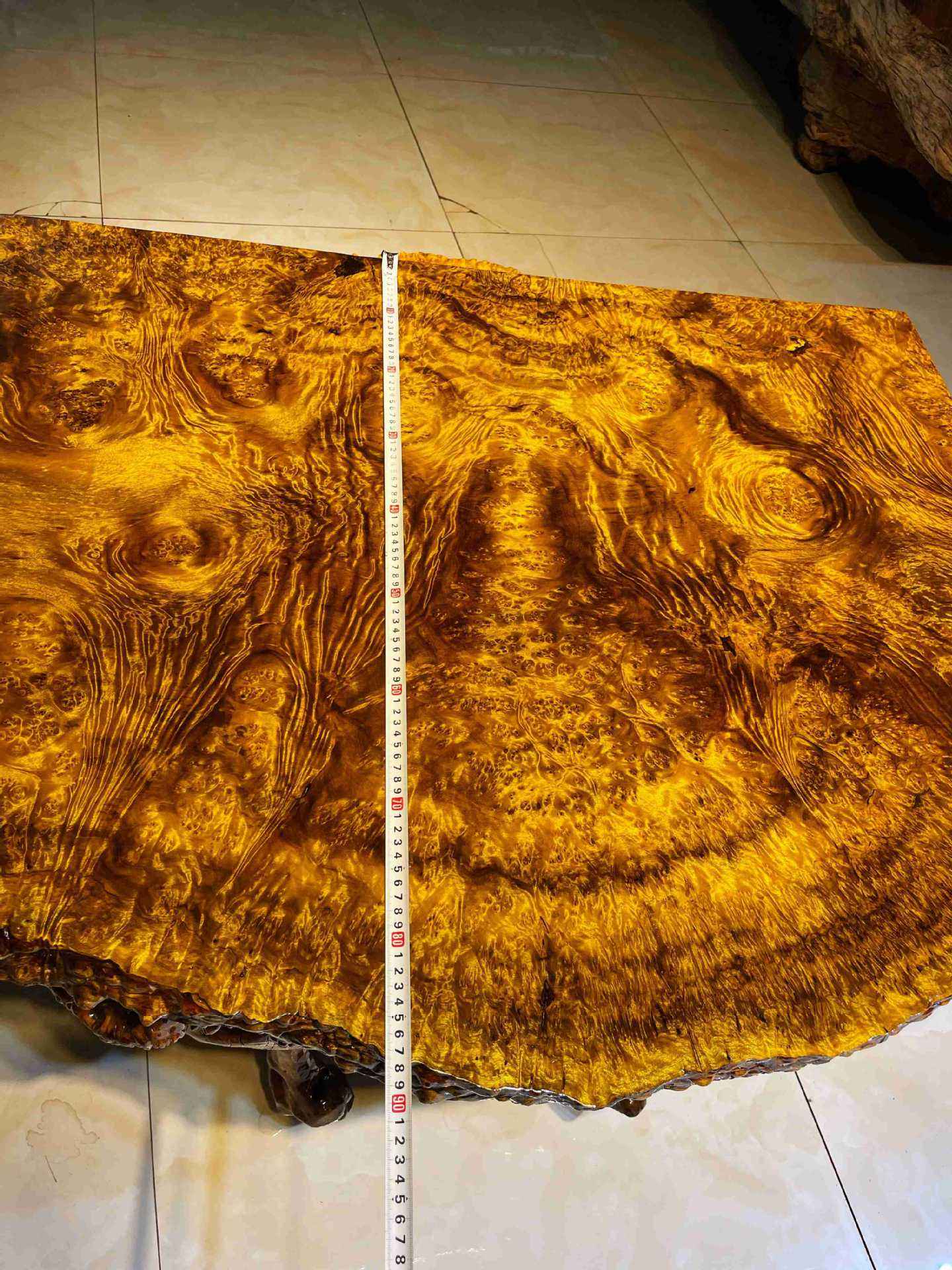 金丝楠木树苗为啥没人种,金丝楠木那么贵为何无人种