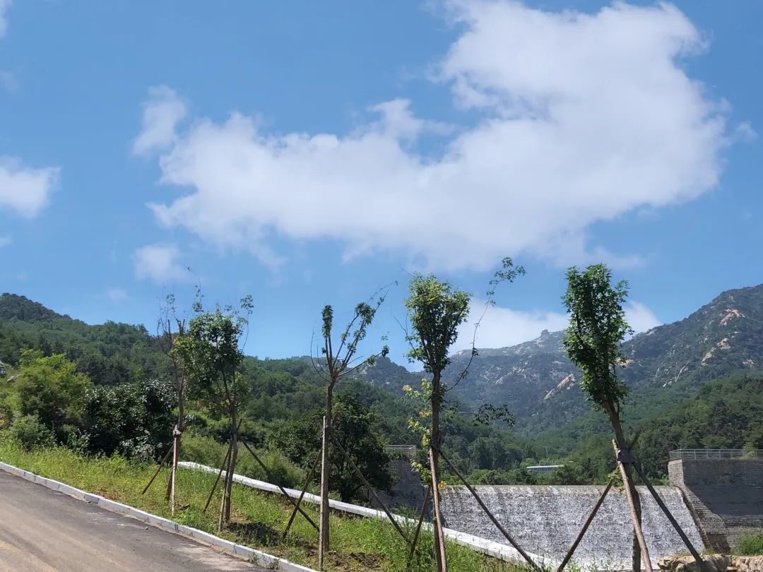 莱芜高庄旅游,莱芜高庄一日游玩攻略