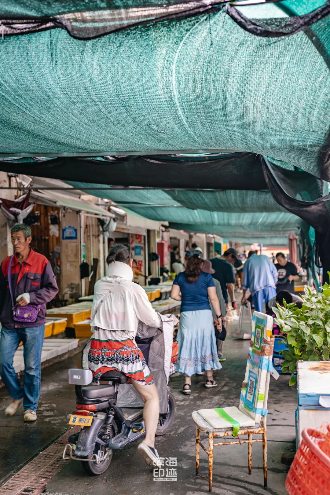 滨海新区海鲜,海鲜一条街滨海新区