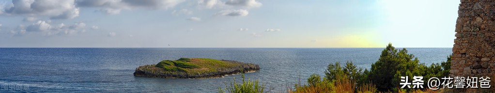 卡塔尔世界杯三十二强避坑手册非洲雄狮-喀麦隆