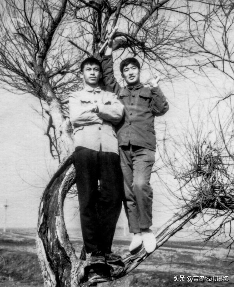 我们这代人的命运,红色经典是我们这代人永恒的记忆