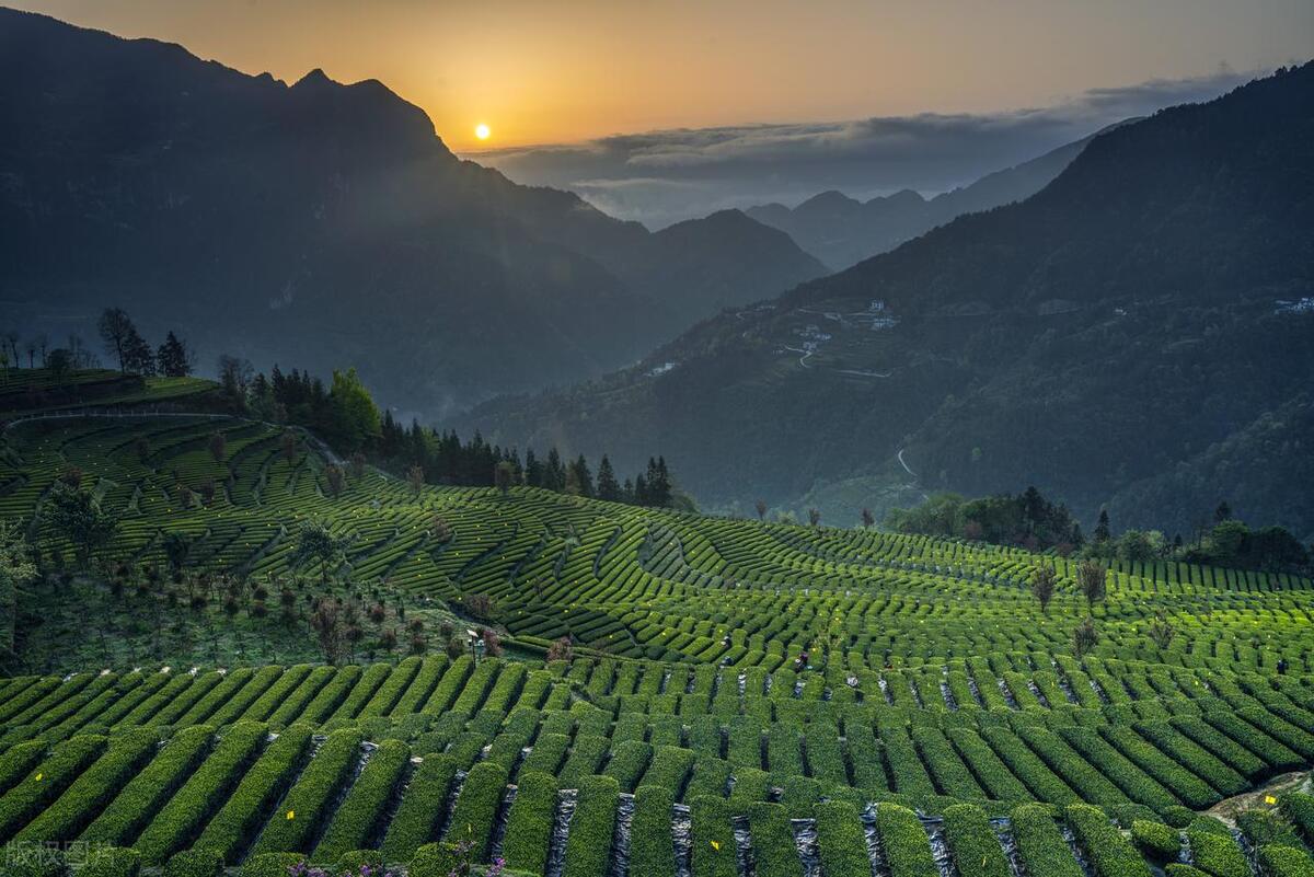 恩施为什么那么多景区呢,为什么恩施值得去旅游