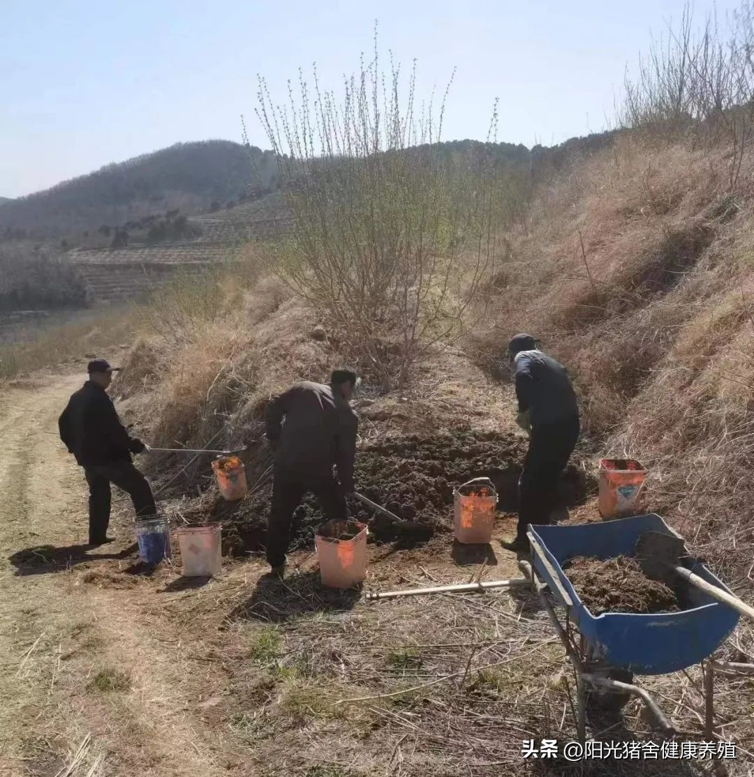 家庭农场养猪怎么样赚钱,农村养殖场养猪怎么赚钱