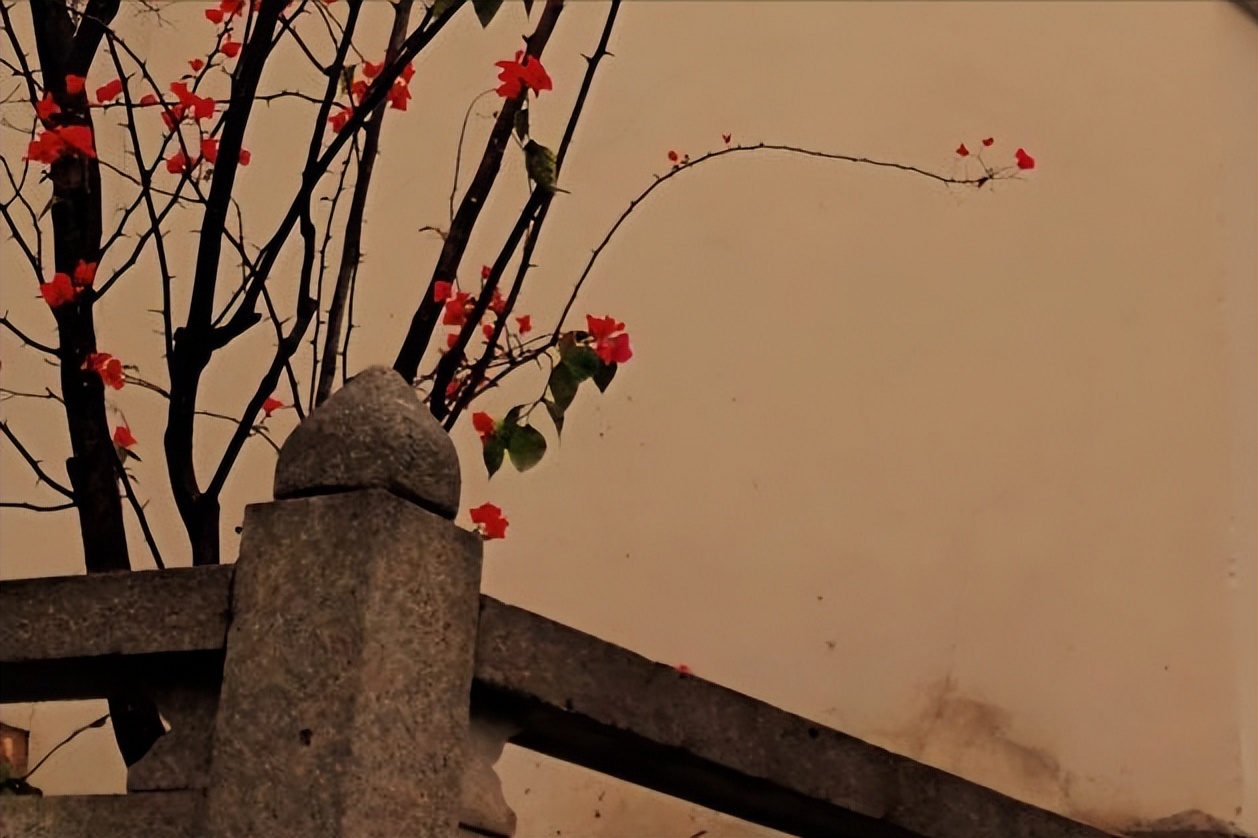 发生在焦作的真实故事,焦作的好故事