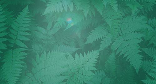 2023毕业生就业创业补贴申请流程,2021年江苏省毕业生就业创业政策