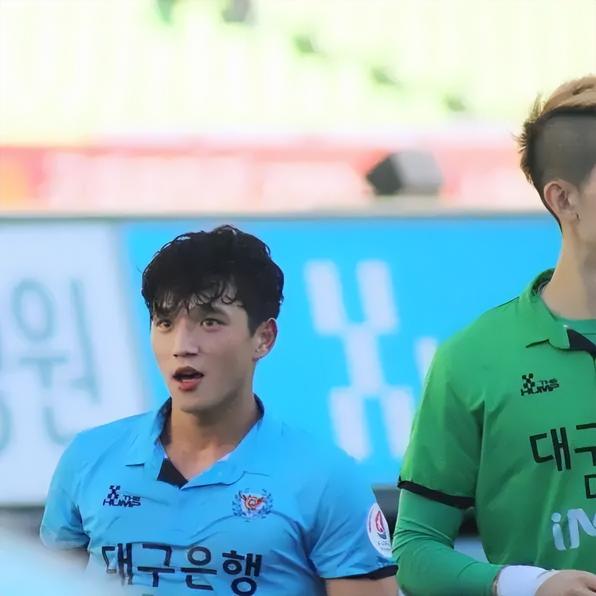 小狼狗10块腹肌,小狼狗的腹肌