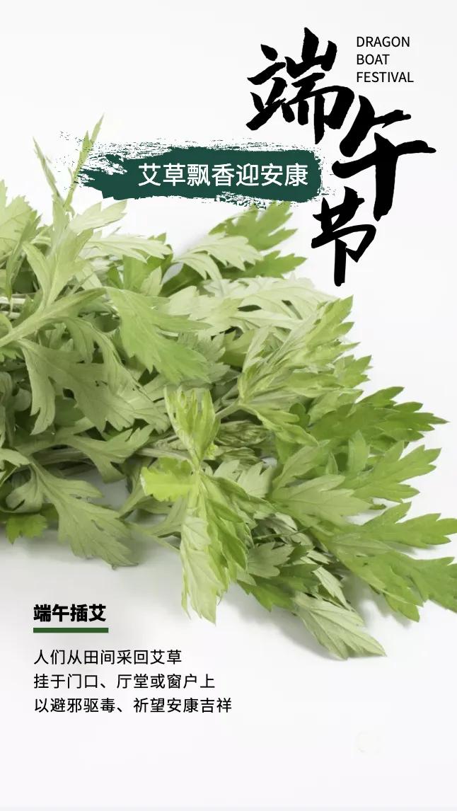 五月初五端午节祝福语,今天五月初五端午节祝福语