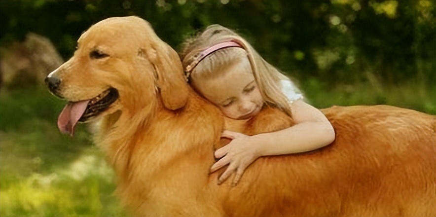 天气热了狗狗身上怎么会烂,狗狗生病身上很臭怎么办