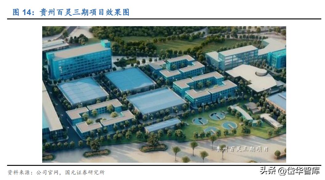 苗药发展大会贵州百灵,贵州百灵第一届苗药发展大会