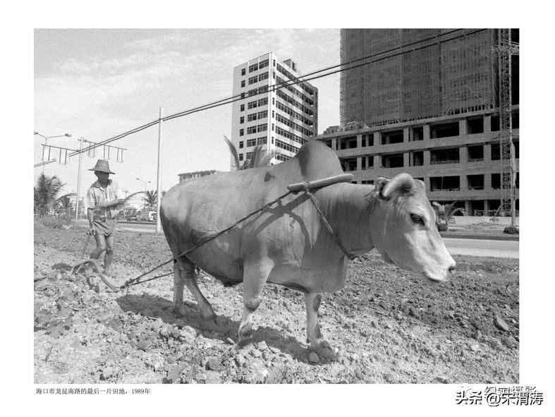 巩志明：纪实摄影最需要坚守和真诚——评黄一鸣的《困顿与反思》