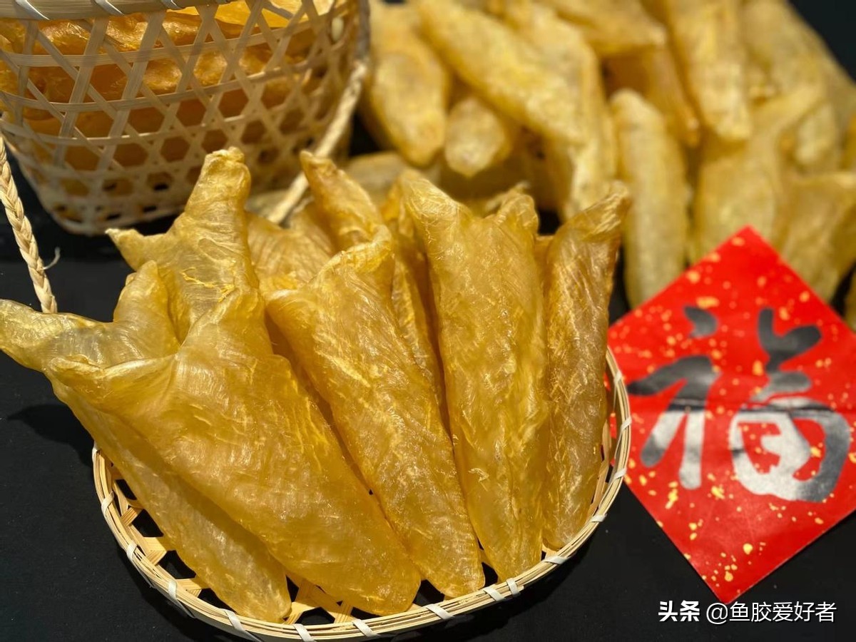 最全鱼胶品种大全,目前最好的鱼胶品种