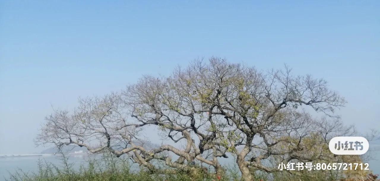 全球最赚钱的十大行业排名,小县城利润最高的不起眼行业赚钱