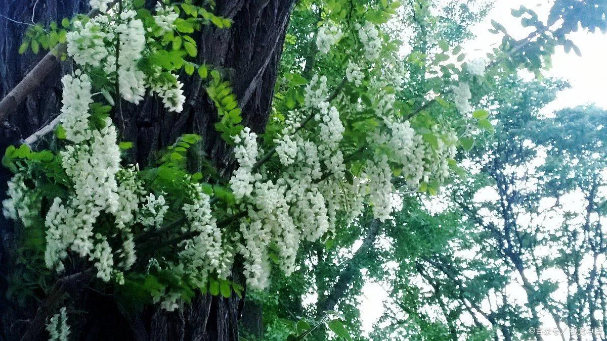 奔赴一场美好之约,奔赴一场千里之约