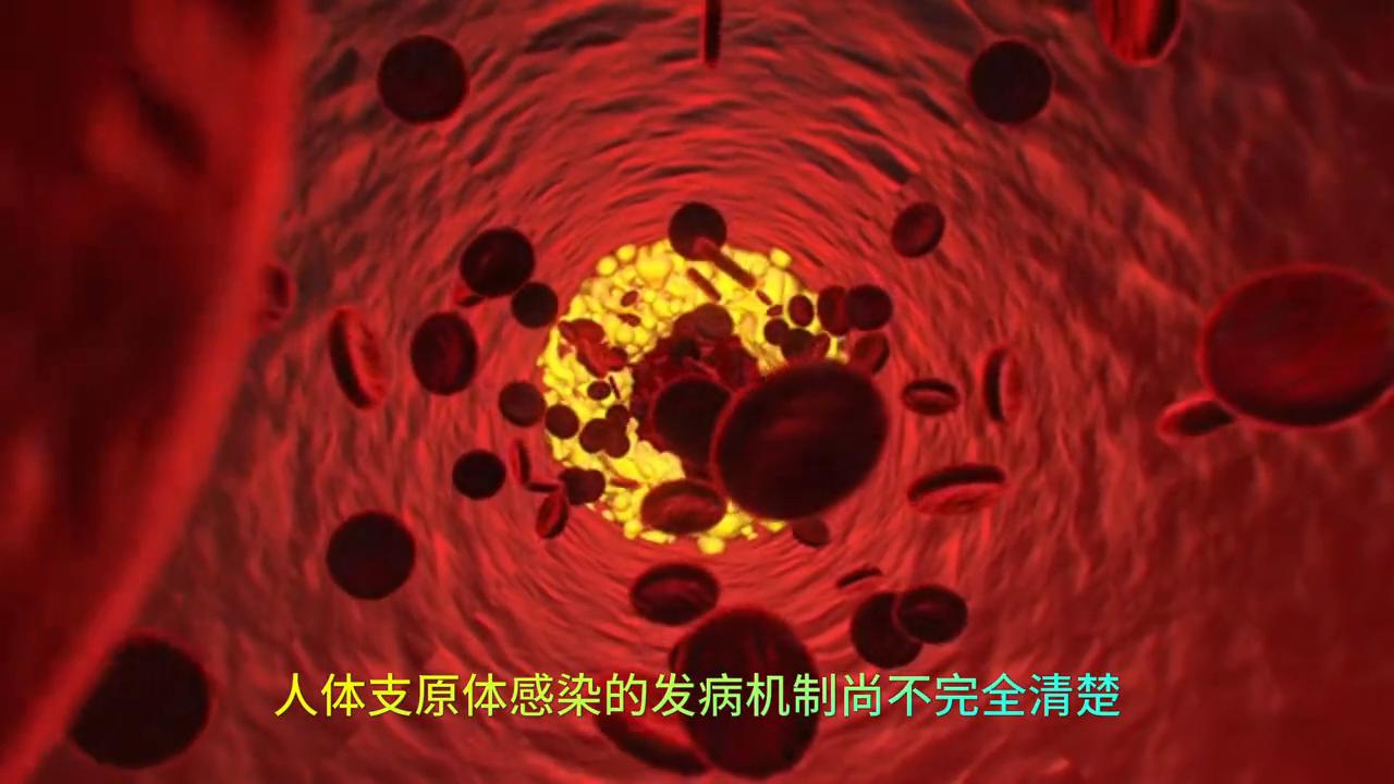 专家解读支原体感染,肺炎支原体感染反复发作怎么预防