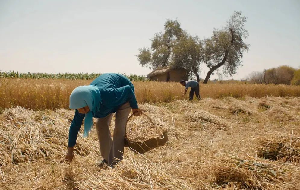 赶在下映前看电影,赶在上班之前去看场电影