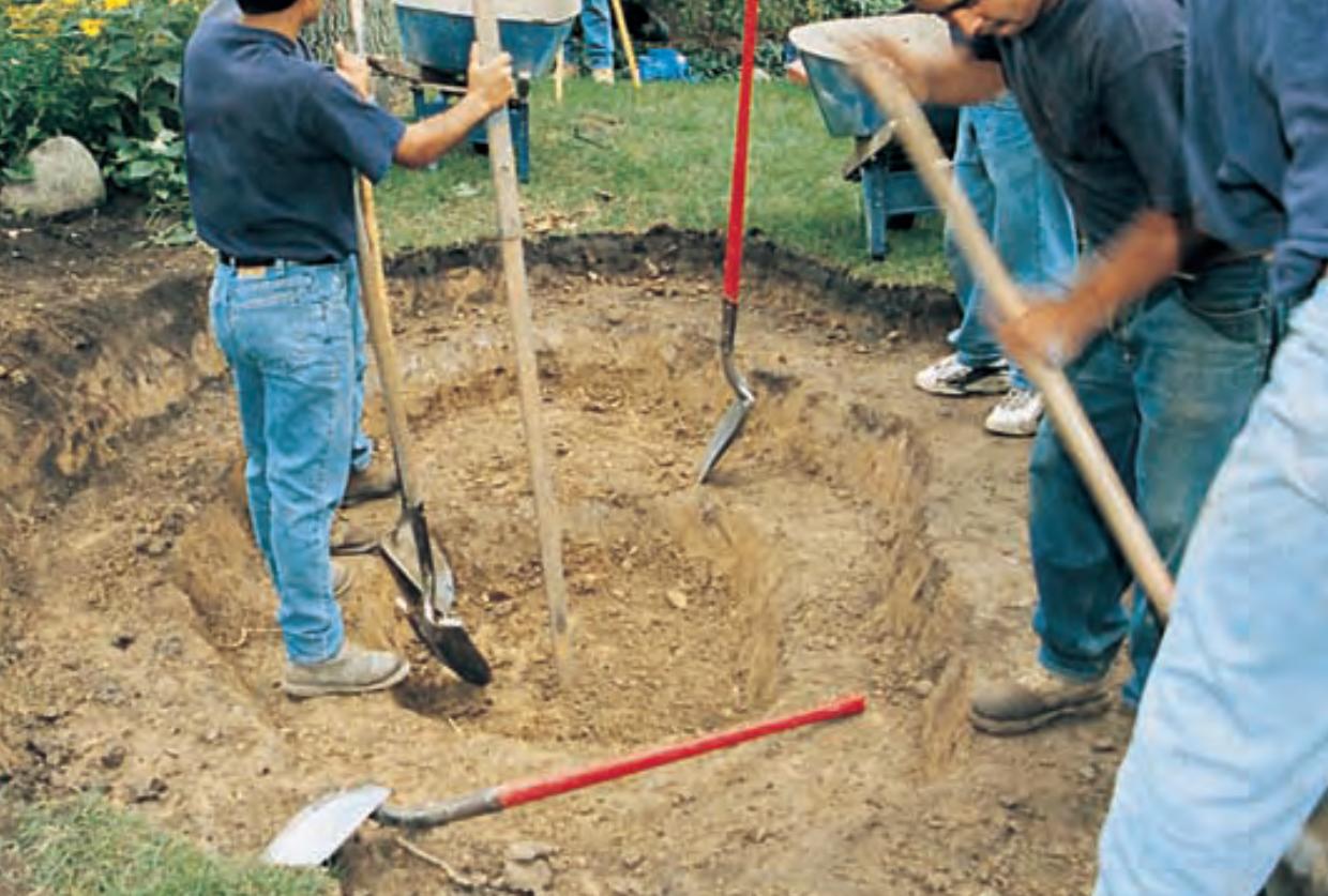 生态缸为啥不长藻不出绿水,生态缸为什么养不活虾