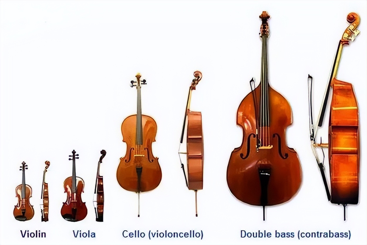 浠庢祦钀借澶村埌瀚佸叆璞棬,浠庢祦钀借澶村埌骞村叆鐧句竾